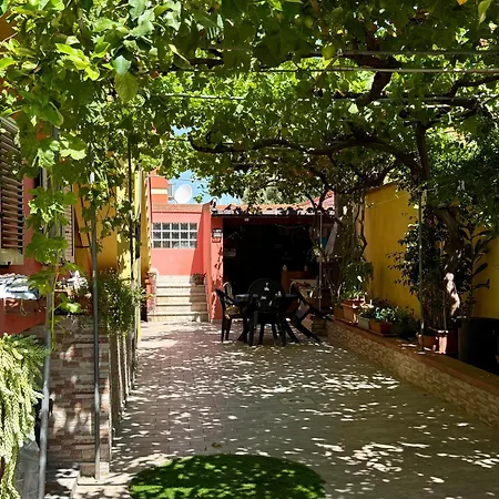 Joy House Sestu